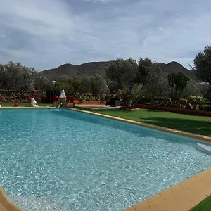 Olivares Rural Los Albaricoques